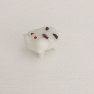 Adorable Miniature Pig